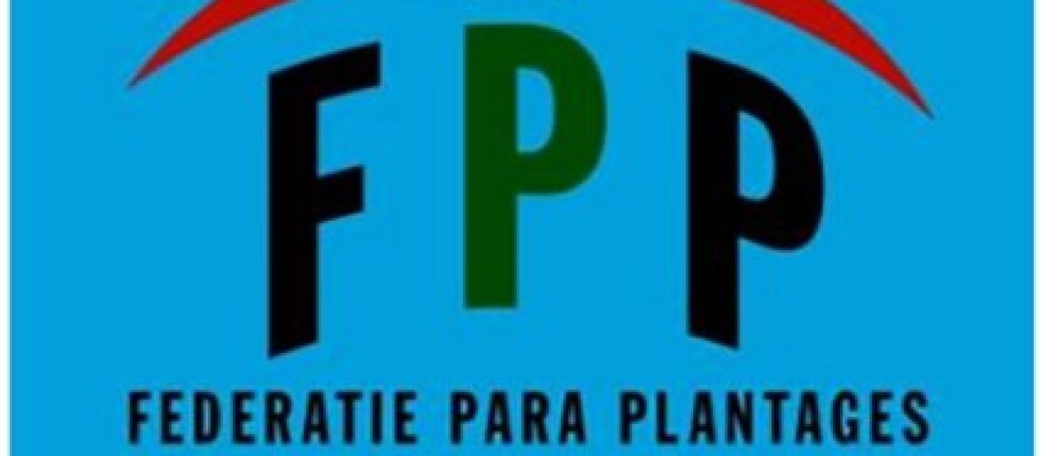 15 MEI 2025 - FOTO ITEM PARA PLANTAGES ONTVAGEN SANTHOKI NIET OFFICIEEL
