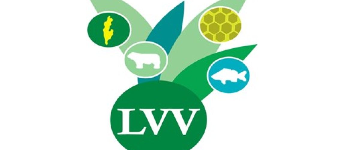 logo-lvv1